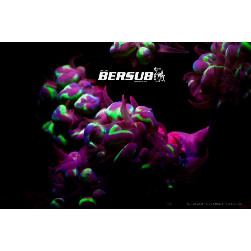 FLUORDIVE Filtre Jaune Pour Masque - Big Blue – Image 2