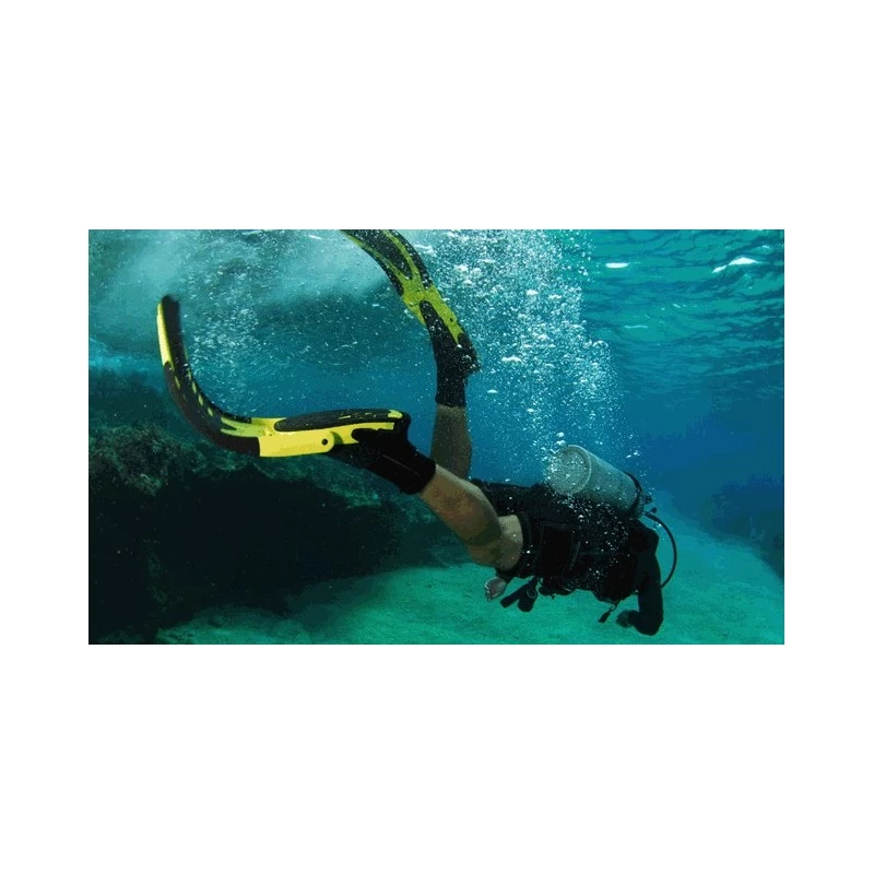 AMPHIBIAN Palme Réglable REPLIABLE - Omega – Image 5